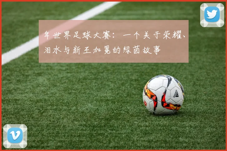 年世界足球大赛：一个关于荣耀、泪水与新王加冕的绿茵故事